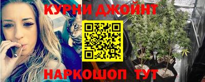 амф Камень-на-Оби