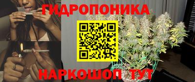 амф Камень-на-Оби