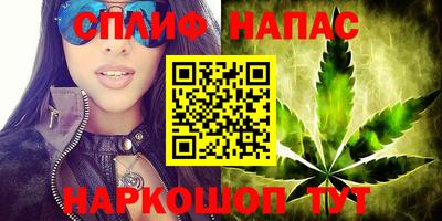 амф Камень-на-Оби