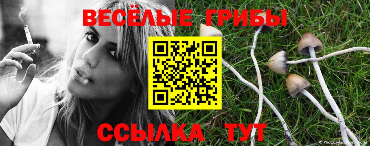 Губкинский  наркота  Вход с VPN  Псилоцибиновые грибы Psilocybine cubensis 